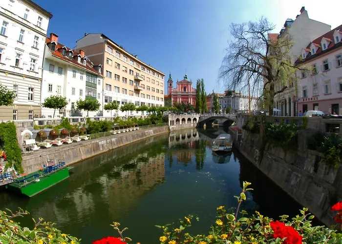 بيت ضيافة Viva